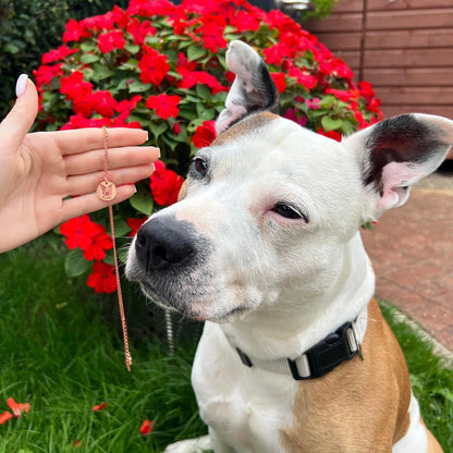 Collier personnalisé avec visage d’animal